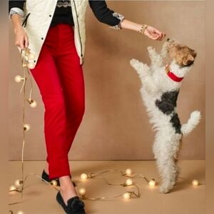 Talbots "Velveteen Straight Leg Pant" red sz 18